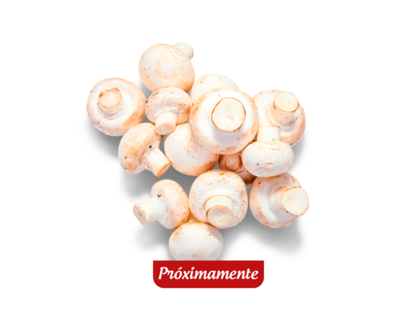 Champiñones