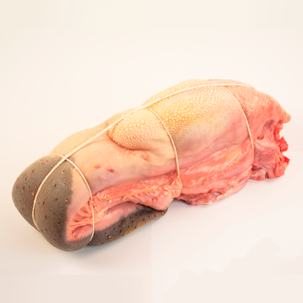 Lengua