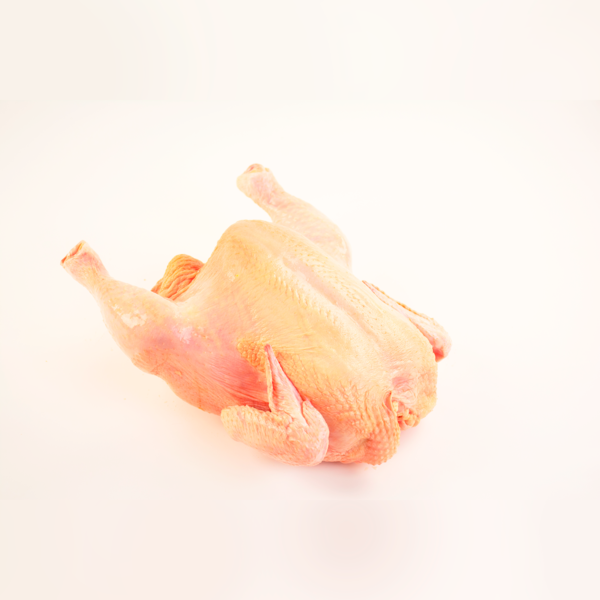 Pollo criollo