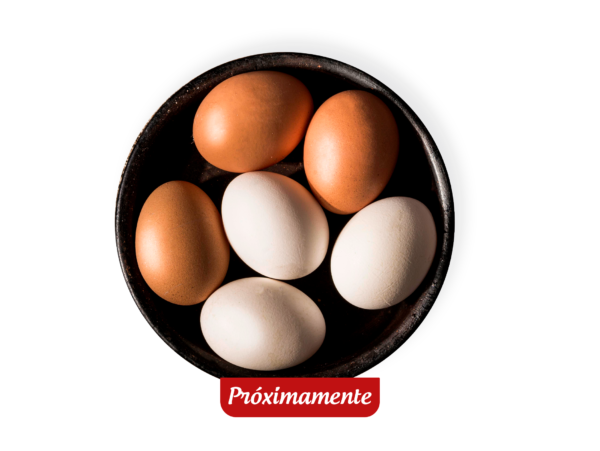 Huevos